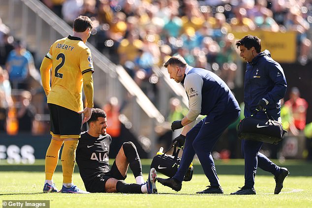 Dominic Solanke is set to miss the rest of the season with a hamstring injury picked up in Tottenham's win over Wolves