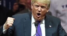 Donald Trump has imposed a 100 per cent tariff on pharmaceutical imports into the US