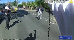 Bodycam footage of the horrifying incident in Golders Green shows the alleged walk towards officers shortly after they descended on the scene
