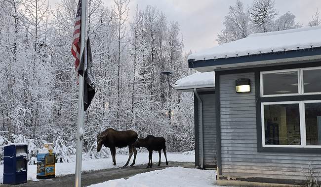 End Daylight Saving Time in Alaska? New Poll Shows Strong Support – RedState