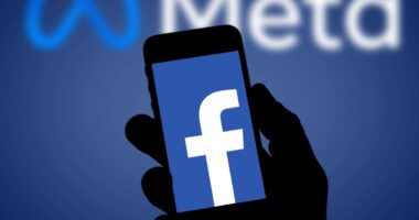 Facebook worker accused of downloading 30,000 private pictures faces criminal probe