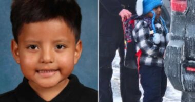 Five-year-old detained by ICE in his bunny hat worries all the time about being taken again, his parents say