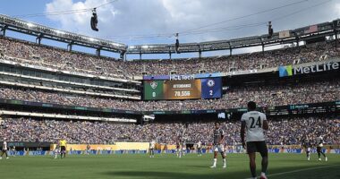 Train tickets to MetLife Stadium at the World Cup could rise from $12.90 to more than $100