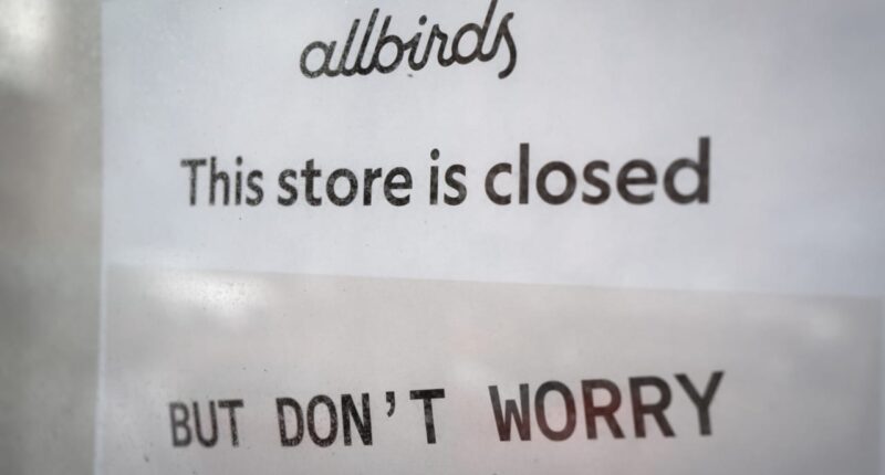 From Allbirds to AI, the meme-stock frenzy is warning you to own this quality ‘antimeme’ portfolio instead