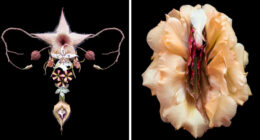 From Flowers To Resistance: 37 Mesmerizing Artworks By This Brazilian Artist About The Female Body