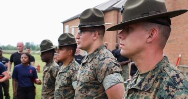 Critics of President Donald Trump are fuming at the Pentagon's plans to automate the military draft