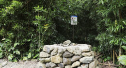 Gerhardt Konig: Doctor’s Son Says Dad Admitted He ‘Tried to Kill’ Wife During O’ahu Birthday Attack