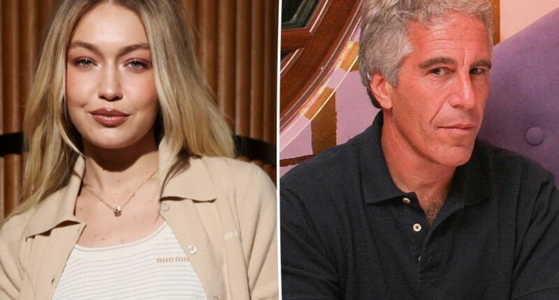 Gigi Hadid breaks silence on being named in Epstein files