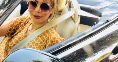 Shamin Mafi, 44, was arrested at Los Angeles International Airport on Saturday night for allegedly trafficking deadly drones and bombs for Tehran