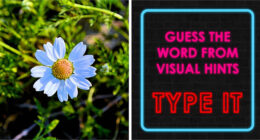 Guess The Hidden Word From Two Picture Clues – Beat All 29 Challenges