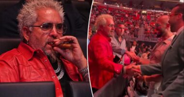 Guy Fieri responds to backlash after greeting Andrew Tate and Tristan Tate at UFC