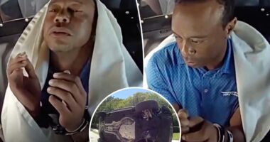 Handcuffed Tiger Woods looks irritated in cop car after rollover crash, DUI arrest