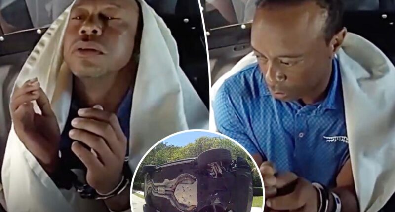 Handcuffed Tiger Woods looks irritated in cop car after rollover crash, DUI arrest