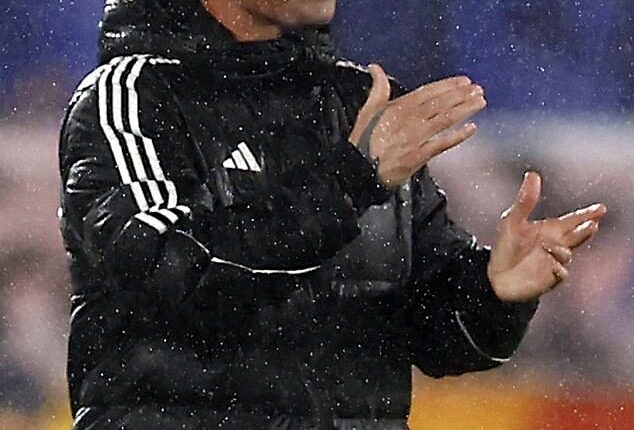 Aussie football legend Harry Kewell has revealed no A-League clubs have ever reached out in relation to his coaching aspirations (pictured, in charge of J-League side Yokohama F Marinos)