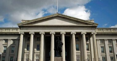 Hedge funds’ record Treasury bets risk sending a ‘shockwave’ through the global bond market, Apollo says