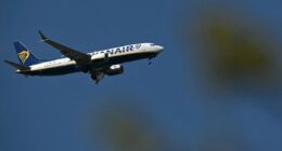 Holidays ‘very likely’ at risk over looming jet fuel crisis, EU energy boss warns