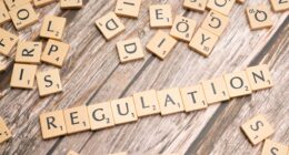 How This Group Is Breaking The Bureaucracy Wrecking Red States