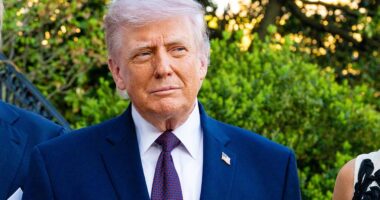 Donald Trump is urging reluctant Republicans to renew a surveillance measure that records conversations American citizens have with foreign nationals despite his previous opposition to the practice. The Foreign Intelligence Surveillance Act (FISA) has a component called Section 702 that allows the warrantless surveillance of non-citizens believed to be outside of the US. However, in practice the controversial authority gives US intelligence services access to conversations Americans have with those outside of the mainland. Republicans have for years tried to oppose the measure's renewal because it's been abused in the past, particularly to target Trump.