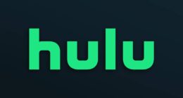 Hulu's New Dystopian Thriller Series Is Here to Stay