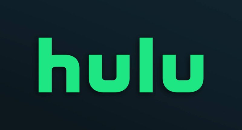 Hulu's New Dystopian Thriller Series Is Here to Stay