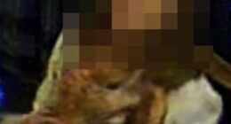 The Oddfellows Arms in Winborne, Dorset, has launched an appeal after an unnamed woman ran off with its mascot, Mr Badger (The woman is pictured with the furry toy hidden beneath her coat)