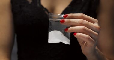 I double checked my Mulberry handbag for the treat I’d been looking forward to all day: a tiny plastic bag containing a wrap of cocaine (image posed by model)