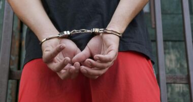 ICE Arrests Slew Of Criminal Aliens, Including Kidnapper