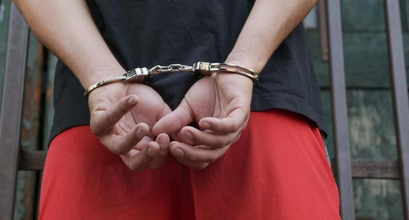 ICE Arrests Slew Of Criminal Aliens, Including Kidnapper