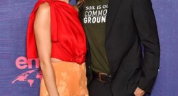 Ian Somerhalder, 47, revealed that he and wife Nikki Reed, 37, racked up crushing 'eight-figure' debt after they retired from acting