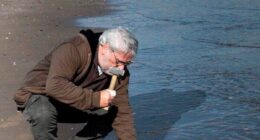 If You Have A Job And Wish You Didn&rsquo;t, These 51 Work Memes Might Amuse You