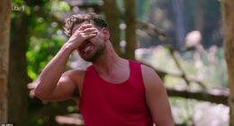I'm A Celebrity All Stars has descended into chaos after being hit by rows, spoiler leaks and stars' battling with bosses