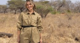 I'm A Celebrity fans poked fun at Ashley Roberts’ reunion with host Dec Donnelly after he revealed his crush on her during her previous stint