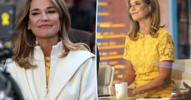Inside Savannah Guthrie's ‘Today,' return