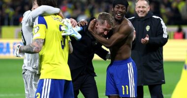Sweden qualified for the World Cup via the play-offs, despite failing to win a game in their qualifying campaign