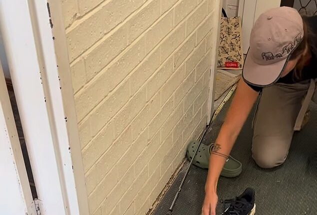 New South Wales snake catcher has issued a stark warning to Australians after a routine call-out revealed a surprising danger after a potentially deadly reptile had slipped into a running shoe