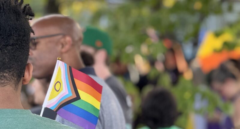 It's Unconstitutional For Licenses To Say Men Are Men