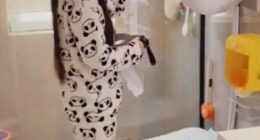 A viral video by a Japanese homeowner, posted to TikTok, has revealed some of the most innovative high-tech contributions. Amassing more than 8,000 likes, the clip shows a woman's cleaning rituals, but with a few twists