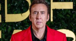 'John Wick' Meets 'The Bear' in Nicolas Cage's 97% RT Crime Thriller