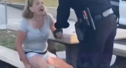 “Karen” Faces Instant Karma After Making Racist Comments To Kids Then Biting Cop