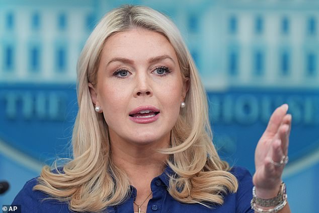 Karoline Leavitt's blunt dismissal of Iranian civilian fears