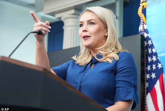 White House Press Secretary Karoline Leavitt offered a chilly response when confronted directly with the harrowing reality facing innocent civilians trapped in Iran