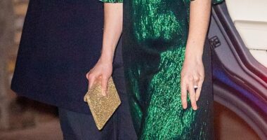 Susie Cave has revealed her next fashion venture - Susie Cave Weddings & Funerals, which will no doubt delight the Princess of Wales (pictured in one Cave's The Vampire's Wife designs)