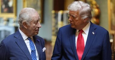 King Charles’s US state visit will go ahead as planned after Washington shooting, Buckingham Palace says
