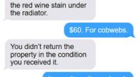 A tense exchange between a tenant and landlord after a $60 bond deduction for 'cobwebs' has sparked outrage online
