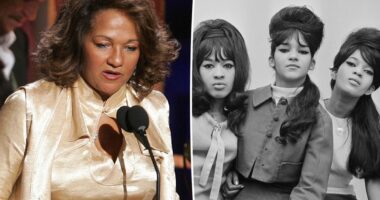 Last surviving member of legendary girl group The Ronettes, Nedra Talley Ross, dead at 80