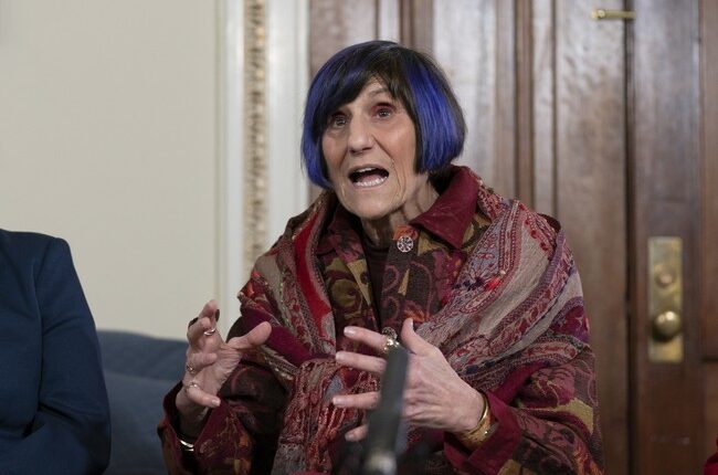 Lee Zeldin Drops the Receipts on Rosa DeLauro in Fiery Budget Hearing Exchange – RedState