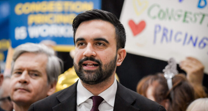 Mamdani Unveils Far-Left 'Racial Equity' Plan for NYC.