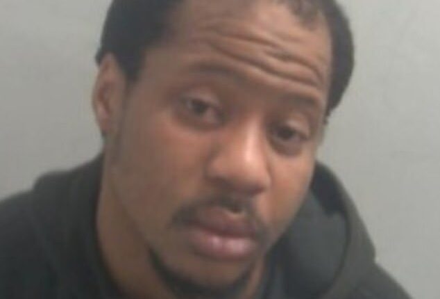 Daniel Odubanjo (pictured) was sentenced to six years in prison after assaulting a woman when trapping her in a train toilet and then assaulting a teenager minutes later