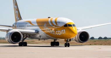 Sudhir Chauhan was on a short business trip with a colleague when the alleged offending occurred on Scoot Airlines flight TR16 from Singapore to Perth