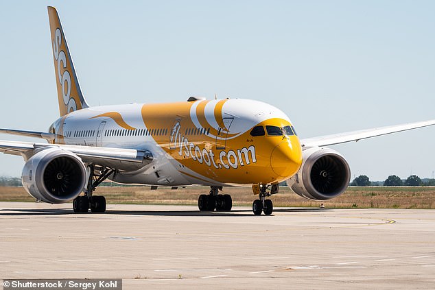 Sudhir Chauhan was on a short business trip with a colleague when the alleged offending occurred on Scoot Airlines flight TR16 from Singapore to Perth